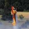 Modellflugtag Modellsportverein Langenau e.V.  10.07.201