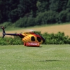 Modellflugtag Modellsportverein Langenau e.V.  10.07.201