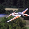 Modellflugtag Modellsportverein Langenau e.V.  10.07.201