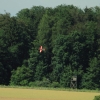 Modellflugtag Modellsportverein Langenau e.V.  10.07.201