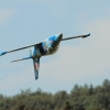 Modellflugtag Modellsportverein Langenau e.V.  10.07.201