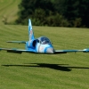 Modellflugtag Modellsportverein Langenau e.V.  10.07.201