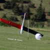 Modellflugtag Modellsportverein Langenau e.V.  10.07.201