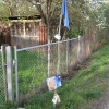 Müll sichtbar gemacht