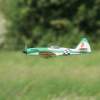MULTIPLEX / HiTEC Airshow 09.05.2015