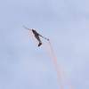 MULTIPLEX / HiTEC Airshow 09.05.2015