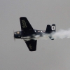 MULTIPLEX / HiTEC Airshow 09.05.2015