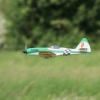 MULTIPLEX / HiTEC Airshow 09.05.2015