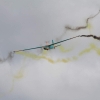 MULTIPLEX / HiTEC Airshow 09.05.2015
