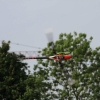 MULTIPLEX / HiTEC Airshow 09.05.2015