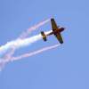 MULTIPLEX / HiTEC Airshow 10.05.2015