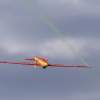 MULTIPLEX / HiTEC Airshow 10.05.2015