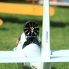 MULTIPLEX / HiTEC Airshow 10.05.2015