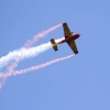 MULTIPLEX / HiTEC Airshow 10.05.2015