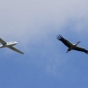 MULTIPLEX / HiTEC Airshow 10.05.2015