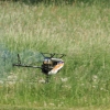 MULTIPLEX / HiTEC Airshow 10.05.2015