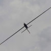MULTIPLEX / HiTEC Airshow 10.05.2015