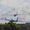 MULTIPLEX / HiTEC Airshow 10.05.2015