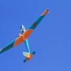 MULTIPLEX / HiTEC Airshow 10.05.2015