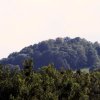 Naturschutzgebiet Listhof 21.07.2017