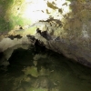 Nebelhöhle 23.05.2015