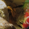 Nebelhöhle 23.05.2015