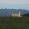 Bopfingen 04.06.2011
