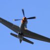 Oldtimer-Fliegertreffen Hahnweide  11.09.2016