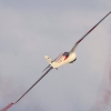 Oldtimer-Fliegertreffen Hahnweide  11.09.2016