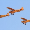 Oldtimer-Fliegertreffen Hahnweide 11.09.2016