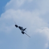 Oldtimer-Fliegertreffen Hahnweide  11.09.2016