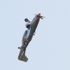 Oldtimer-Fliegertreffen Hahnweide  11.09.2016