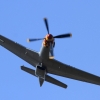 Oldtimer-Fliegertreffen Hahnweide  11.09.2016
