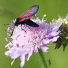 Pflanzen und Tiere
