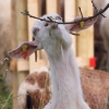Pflanzen und Tiere