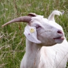 Pflanzen und Tiere