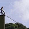 Pfullingen 03.06.2016