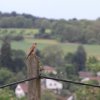 Pfullingen 03.06.2016