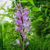 Pfullingen 03.06.2016