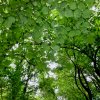 Pfullingen 03.06.2016