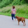 Pfullingen 03.06.2016