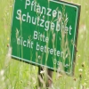 Pfullingen 03.06.2016