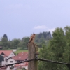 Pfullingen 03.06.2016