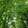 Pfullingen 03.06.2016