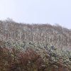 Pfullingen 27.01.2014
