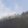 Pfullingen 27.01.2014
