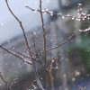 Pfullingen 27.01.2014