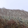 Pfullingen 27.01.2014