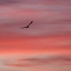Himmel über Pfullingen 28.09.2016
