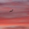 Himmel über Pfullingen 28.09.2016